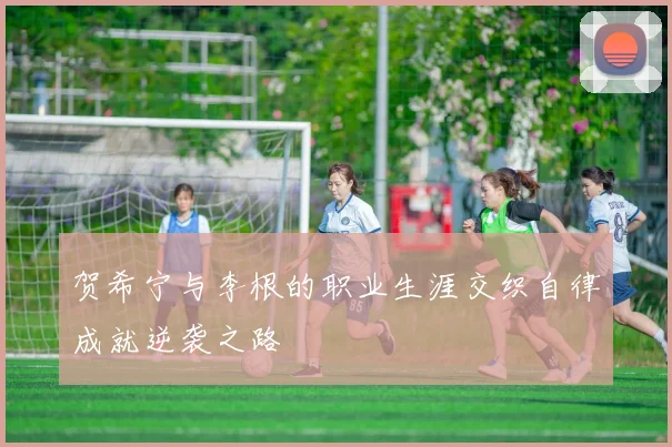 贺希宁与李根的职业生涯交织自律成就逆袭之路