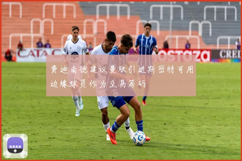 费迪南德建议曼联引进斯密特可用边缘球员作为交易筹码